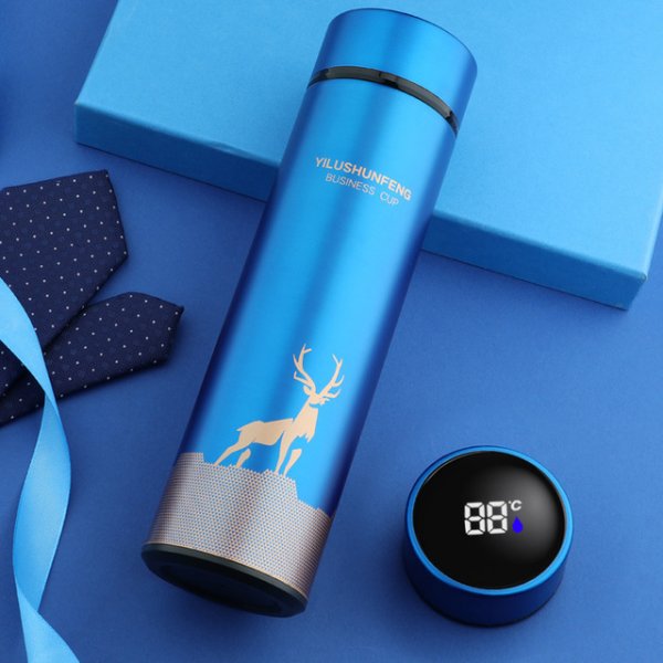 Intelligent Stainless Steel Thermos Temperature Display Smart Water Bottle Vacuum Flasks Thermoses Christmas Gifts Coffee Cup